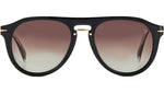 DB 7032/G/CS Black Gold Brown Shaded Polarized