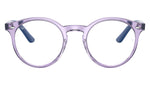 RY1594 3885 Violet