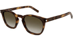 SL 28 048 Tortoise Brown