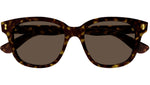 GG1264S 005 Dark Havana Brown