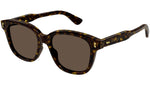 GG1264S 005 Dark Havana Brown