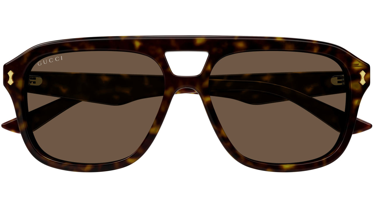 GG1263S 006 Dark Havana Brown