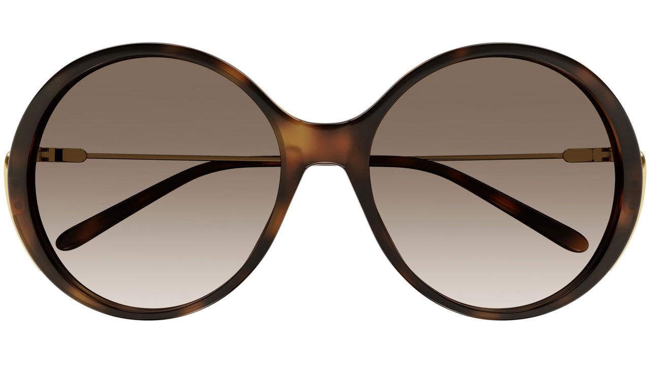 CH0171S 002 tortoise brown