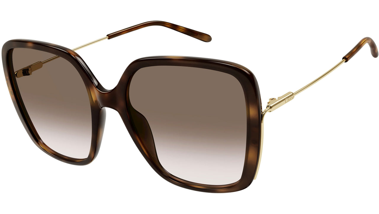 CH0173S 002 tortoise brown