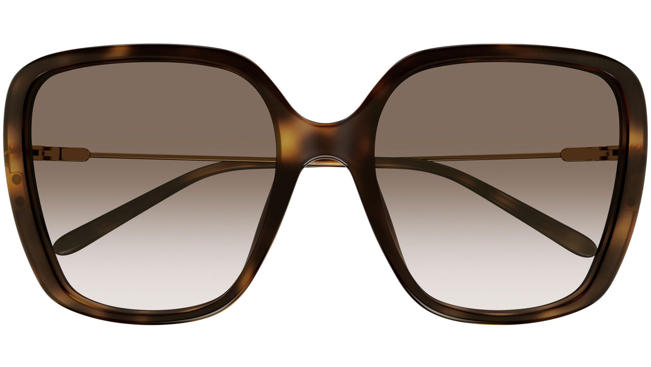 CH0173S 002 tortoise brown