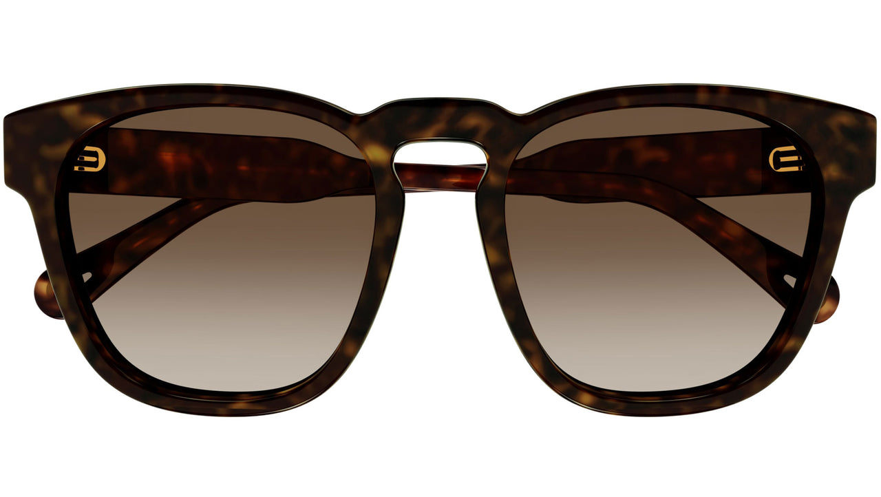 CH0160S 002 tortoise brown