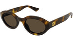 GG1579S 002 Tortoise Brown