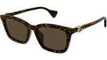 GG1596SK 003 Havana Brown