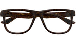 PU0443O 003 Dark Havana