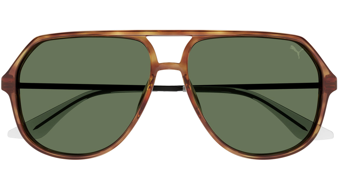 PU0460S 003 Blonde Havana Green