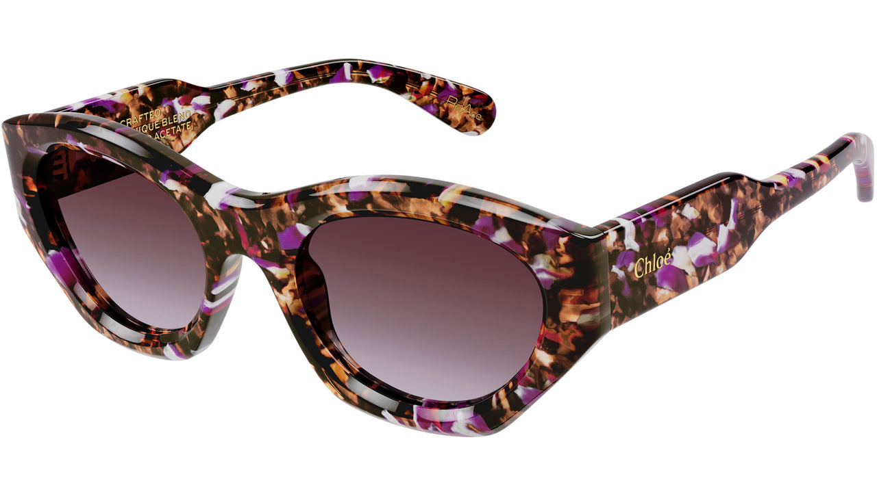 CH0220S 005 Tortoise Purple