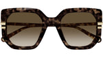 CH0240S 002 Tortoise Brown