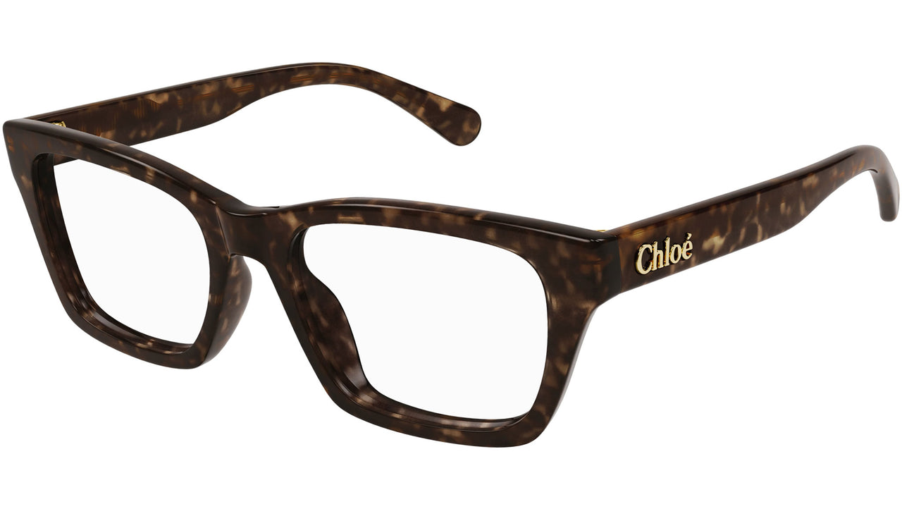 CH0242O Dark Tortoise