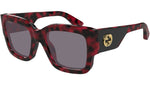 GG1663S 003 Red Havana Violet