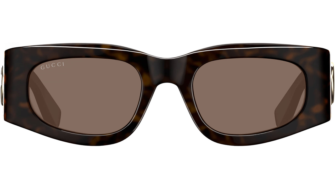 GG1664S 004 Dark Havana Brown