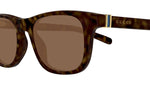 GG1671S Dark Havana Brown