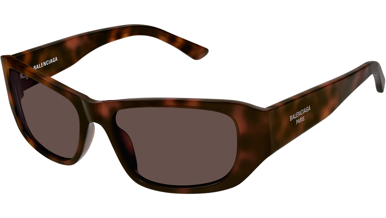 BB0365S 003 Dark Havana Brown