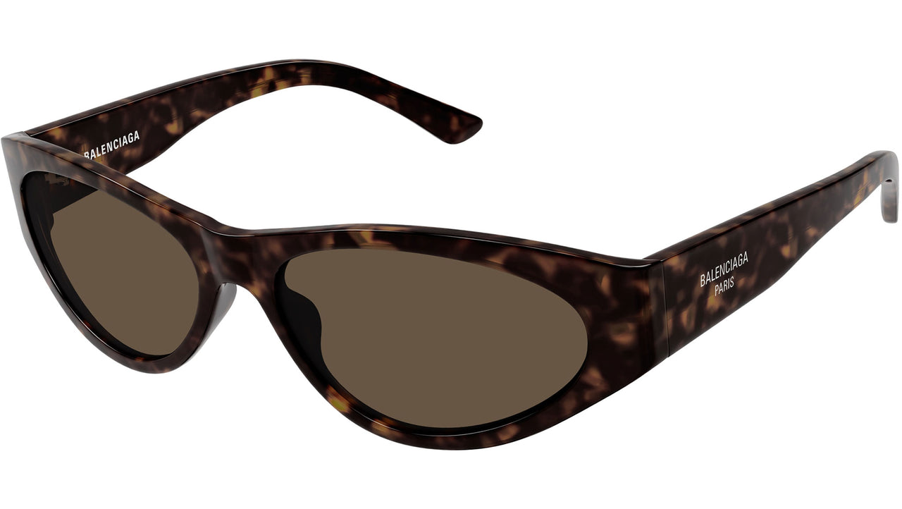 BB0367S 002 Dark Havana Brown