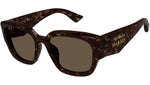 AM0468S 002 Dark Havana Brown