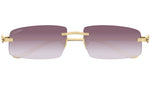 CT0505S 004 Gold Purple