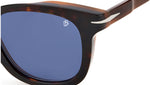 DB 7030/S Dark Havana Brown Blue Avio