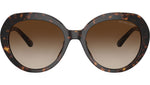 San Lucas MK2214U 300613 Dark Tortoise