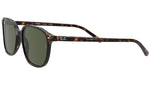 Leonard RB2193 tortoise