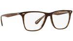 Ollis Sun OV5437SU Tuscany tortoise