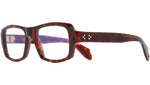 9894 Optical 02 Dark Turtle