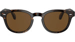 Sheldrake 1950 OV5471SU dark tortoise