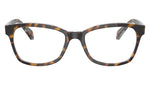 RY1591 3805 Tortoise