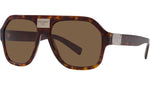 DG 4433 502/73 Tortoise Brown