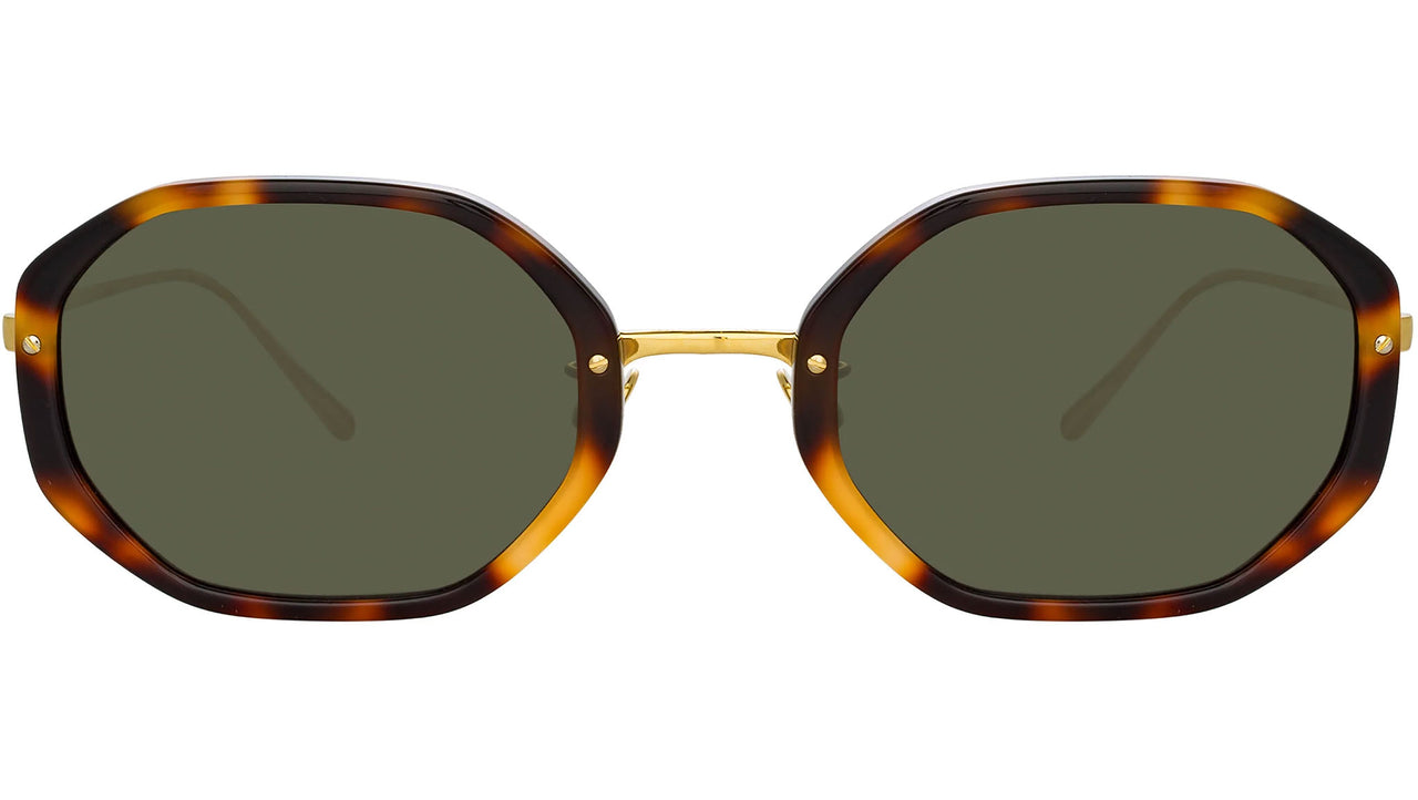 Tayler C2 Tortoiseshell