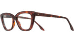 1241 Optical DT01 dark turtle