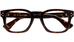 9768 Optical 02 dark turtle