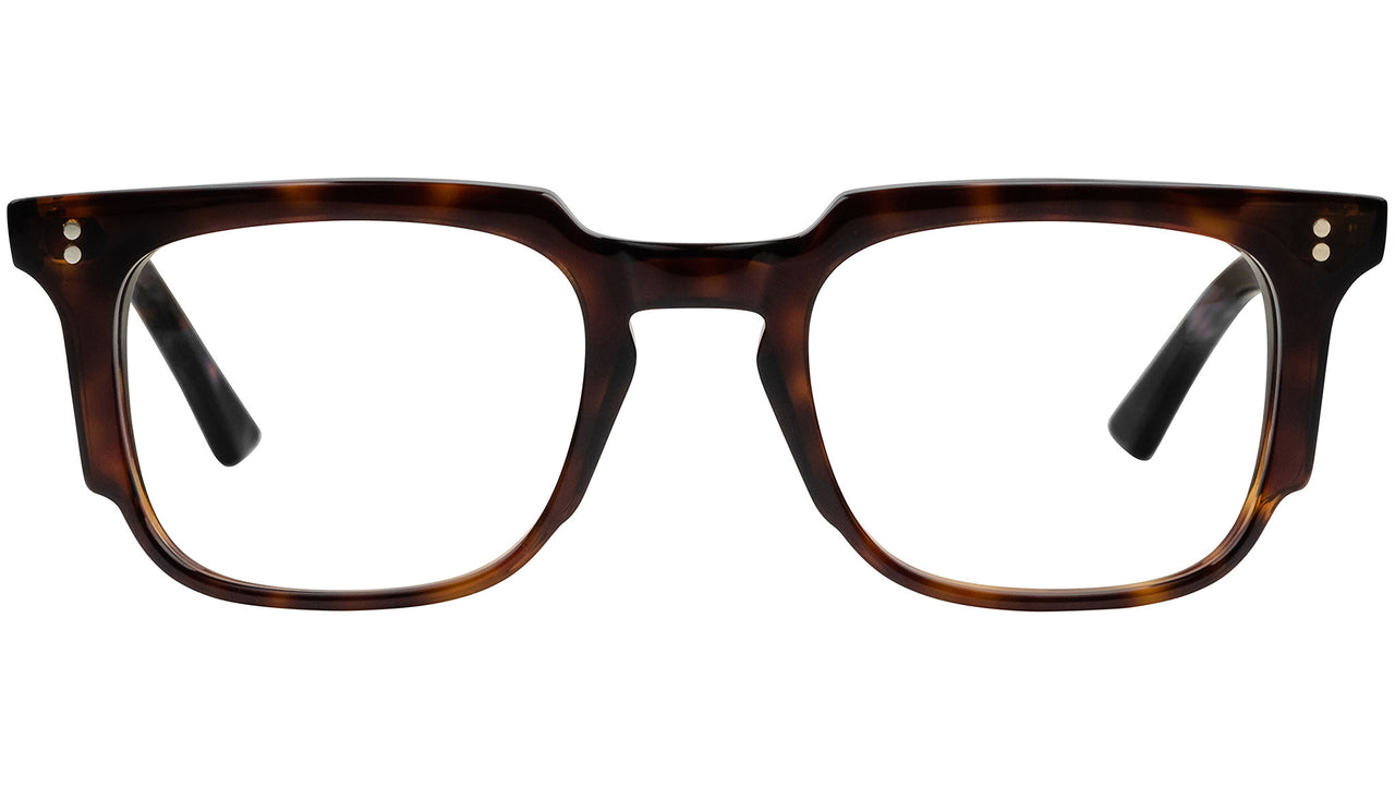 1382 Optical 02 dark turtle