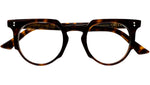 1383 Optical 02 Dark Turtle