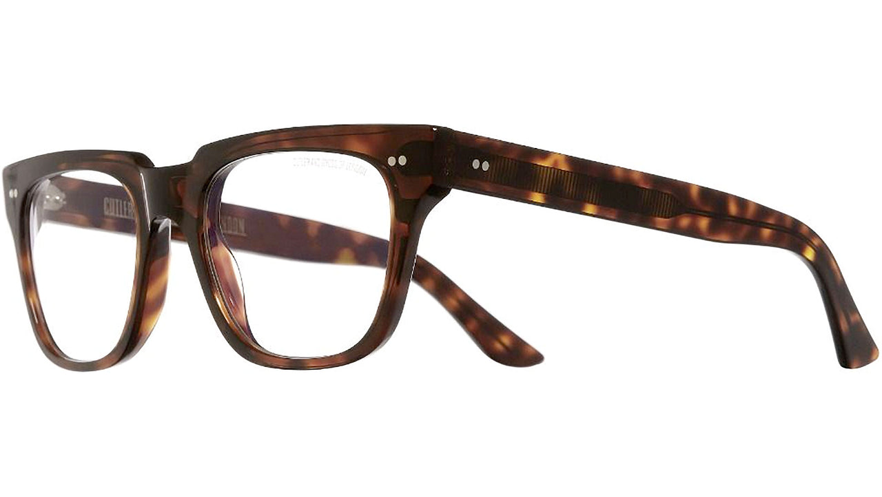 1381 Optical 02 Dark Turtle