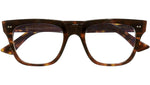 1381 Optical 02 Dark Turtle