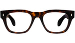 9772 Optical 02 dark turtle