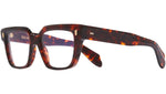 9348 Optical 02 Dark Turtle