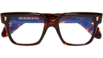 9348 Optical 02 Dark Turtle