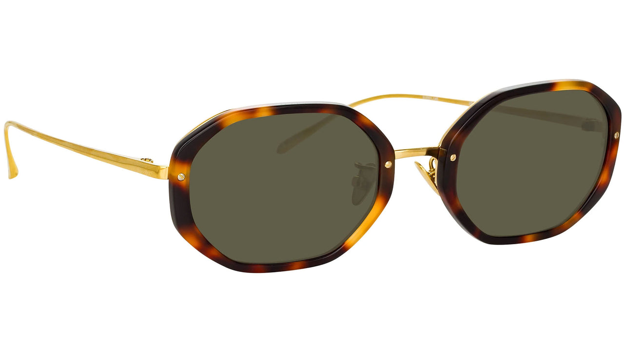 Tayler C2 Tortoiseshell