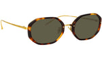 Tayler C2 Tortoiseshell