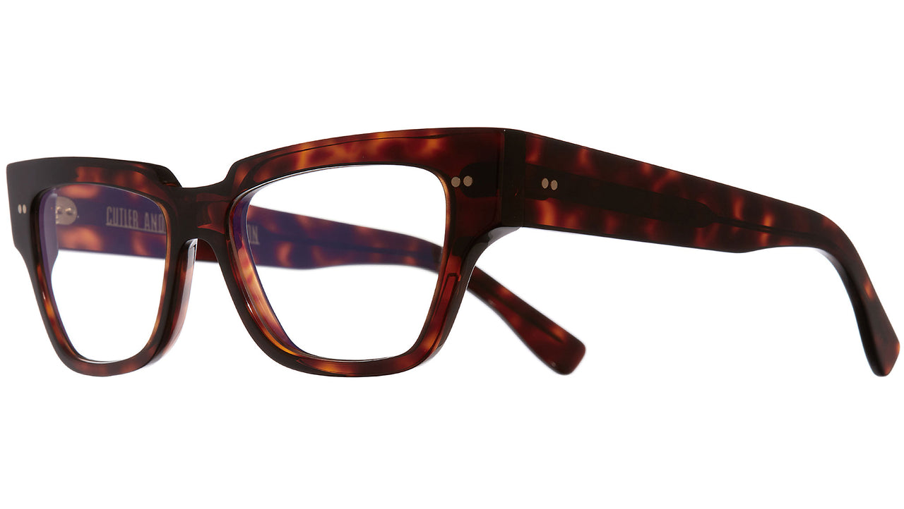 1379 Optical 02 Dark Turtle