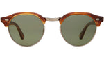 Oakwood Sun Honey Amber Tortoise-Gold