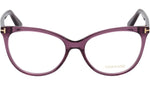 FT5513-B 081 Shiny Violet