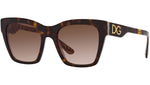 DG 4384 321773 Tortoise Brown