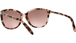 RA5160 111614 Pink Tortoise