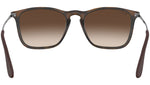 Chris RB4187 tortoise